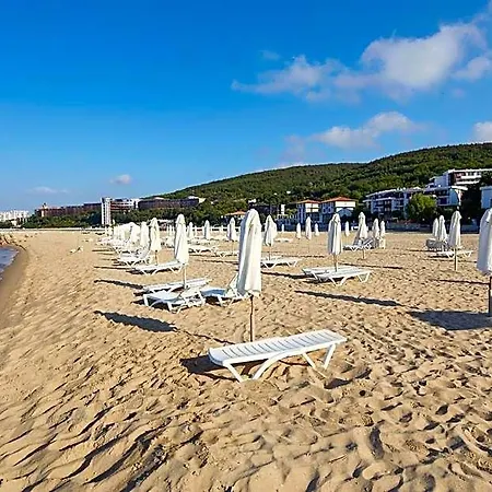 Hotel Hotel Amore Beach